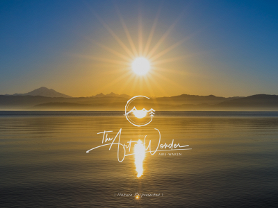 theartofwonder.gallery snapshot