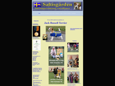 saltisgarden.se snapshot