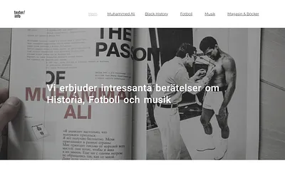 texterinfo.com snapshot