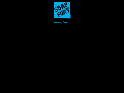soapfury.com snapshot