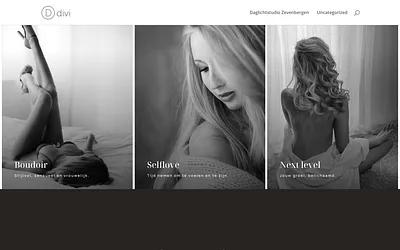 daglichtstudiozevenbergen.nl snapshot