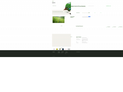 cpisom.com snapshot