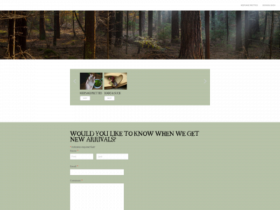 www.thewiccanwayz.com snapshot