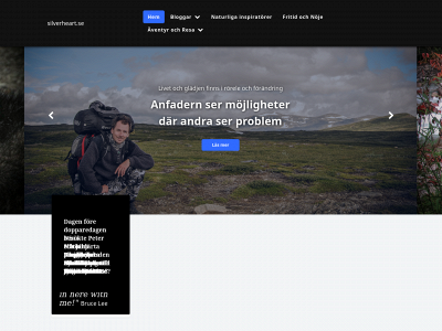 silverheart.se snapshot