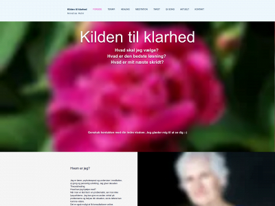 anneliseholm.dk snapshot