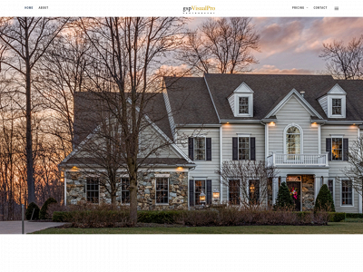 gspvisualpro.com snapshot