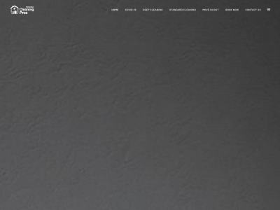 hernandezcleaningpros.com snapshot