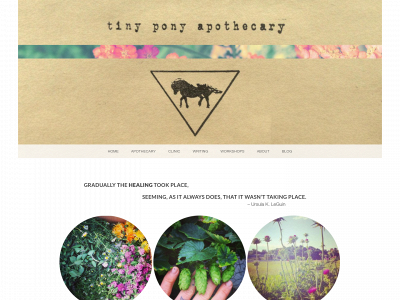 tinyponyapothecary.com snapshot