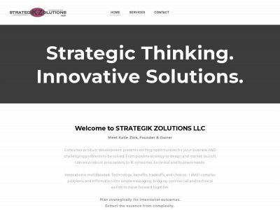 www.strategikzolutions.com snapshot