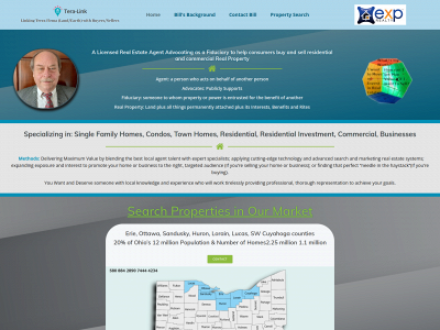 tera-link.com snapshot