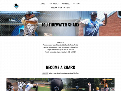 tidewatersharx.weebly.com snapshot