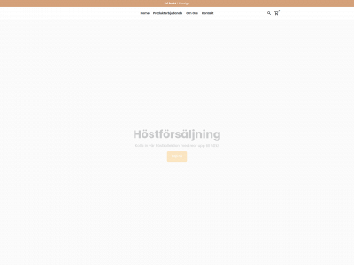 casafy.se snapshot