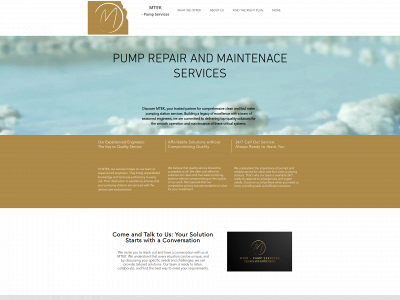 mtek-pumpservices.co.uk snapshot