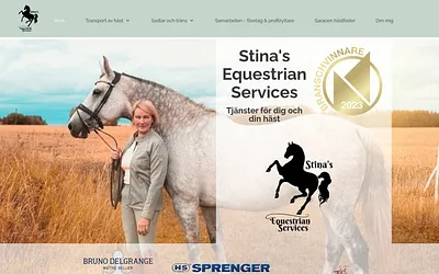 stinases.se snapshot