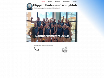 flipper.dk snapshot