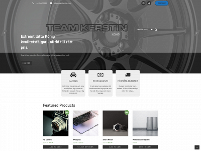 teamkerstin.com snapshot