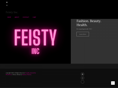 feistyinc.com snapshot