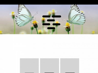 ihdumille.dk snapshot