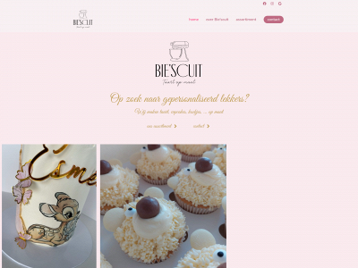biescuit.be snapshot