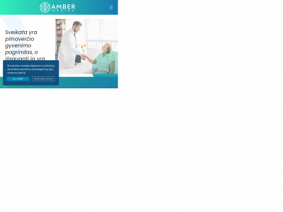 ambermedika.lt snapshot