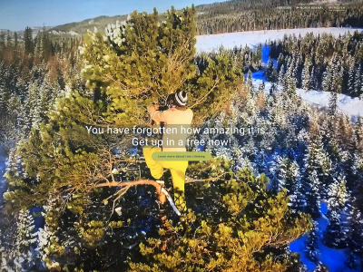 tree-climb.com snapshot