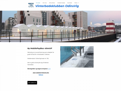 odinsvig.dk snapshot