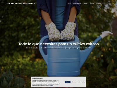 oscanceladebustelo.es snapshot