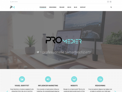 promedier.dk snapshot