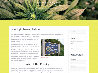 thehippiegypsymom.com snapshot