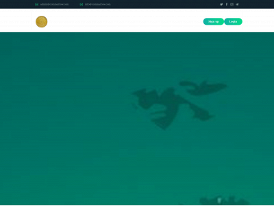 coinmarrow.com snapshot