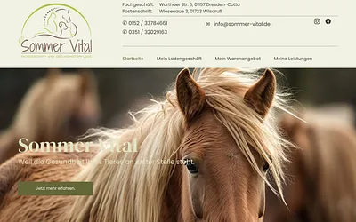 sommer-vital.de snapshot