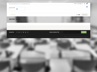 avante70df.org snapshot