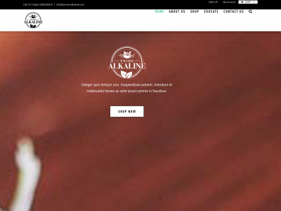 primealkaline.com snapshot