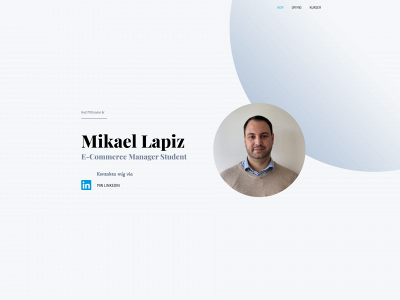 mikaellapiz.se snapshot