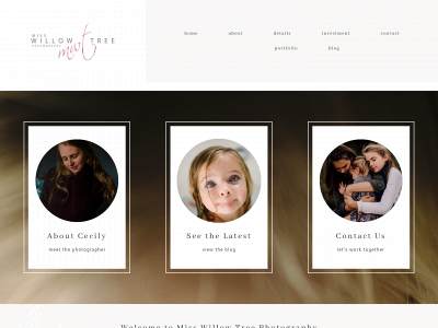 misswillowtreephotography.com snapshot