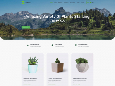stroomy.nl snapshot