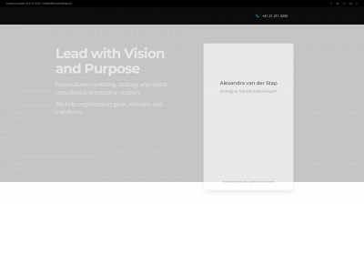 adfirstconsulting.com snapshot