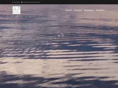 andrewpayntermedia.com snapshot
