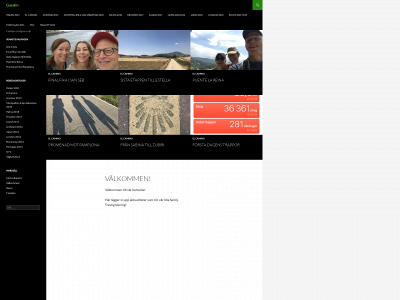 gasalin.se snapshot