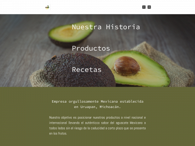avodust.com snapshot