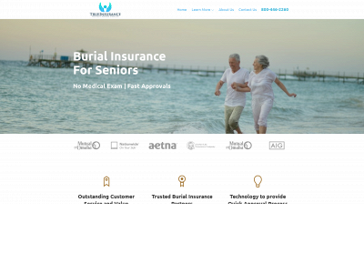 trueinsurance.org snapshot