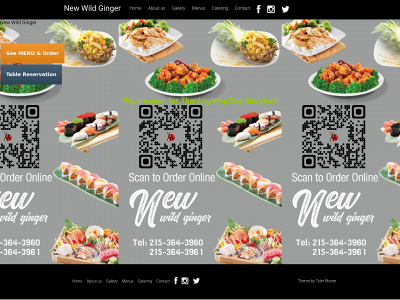 newwildginger.com snapshot