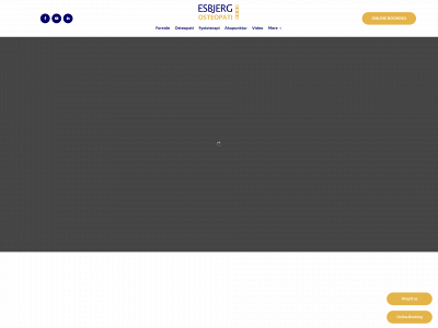 retminryg.dk snapshot