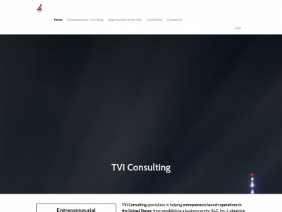 www.texasvi.info snapshot