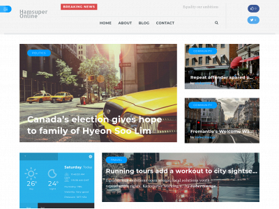 hamsuper.online snapshot
