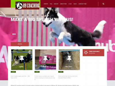 billingsk9coaching.com snapshot