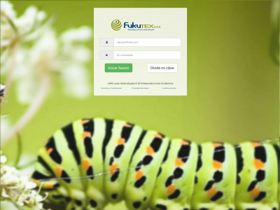 fukutex.com.co snapshot