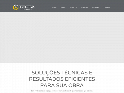 tectaengenharia.com.br snapshot