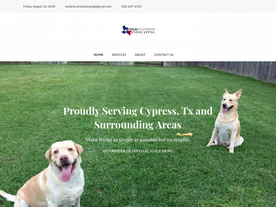 txplatinumlandscaping.com snapshot