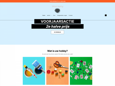 blowaway.nl snapshot